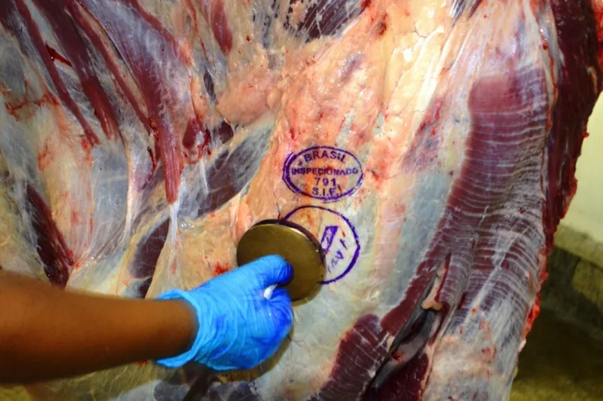 EXPORTAÇÕES DE RONDÔNIA - Chile abre mercado para carne brasileira e Rondônia se aproxima da habilitação para exportar 
